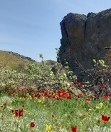 чертов палец карадаг карадаг